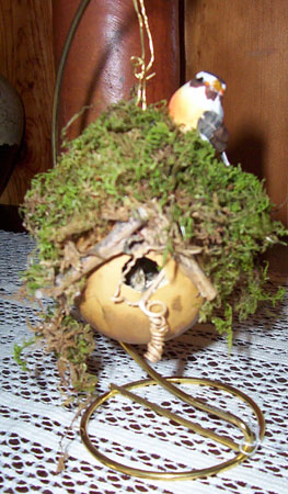 gourd